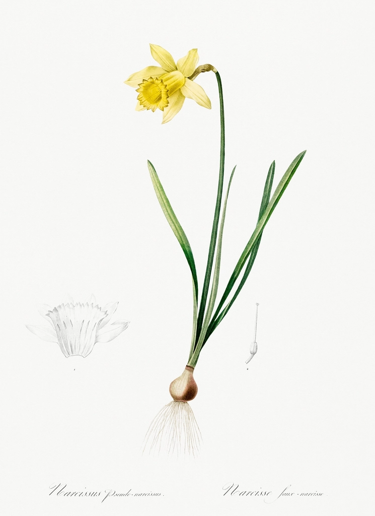 Was Jonah Narcissistic by Today’s Standards?